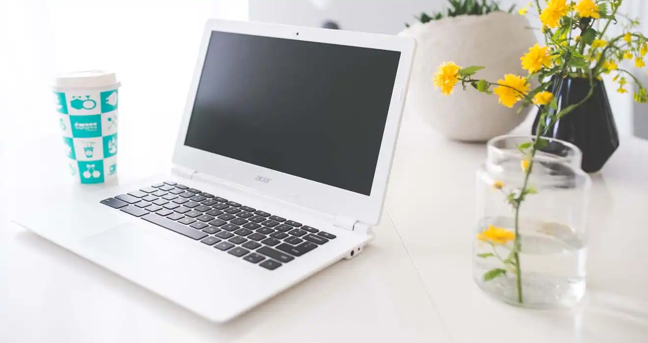 Ремонт ноутбуков Acer в Троицке